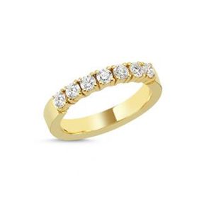 Vienna ring